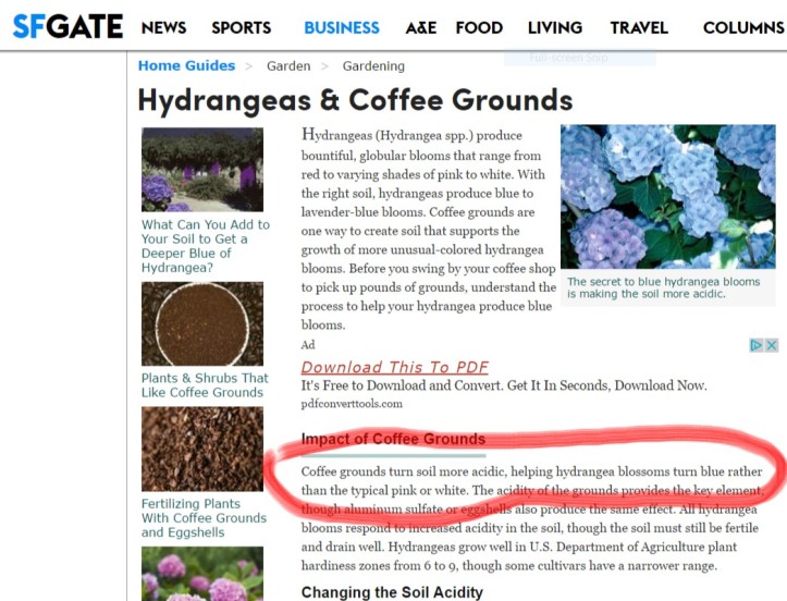 Bottom Line Are Coffee Grounds Good For Plants Leafypine Flowers